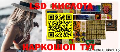 PSILOCYBIN Северобайкальск