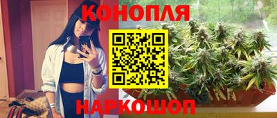 PSILOCYBIN Северобайкальск