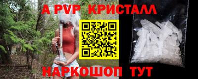 PSILOCYBIN Северобайкальск