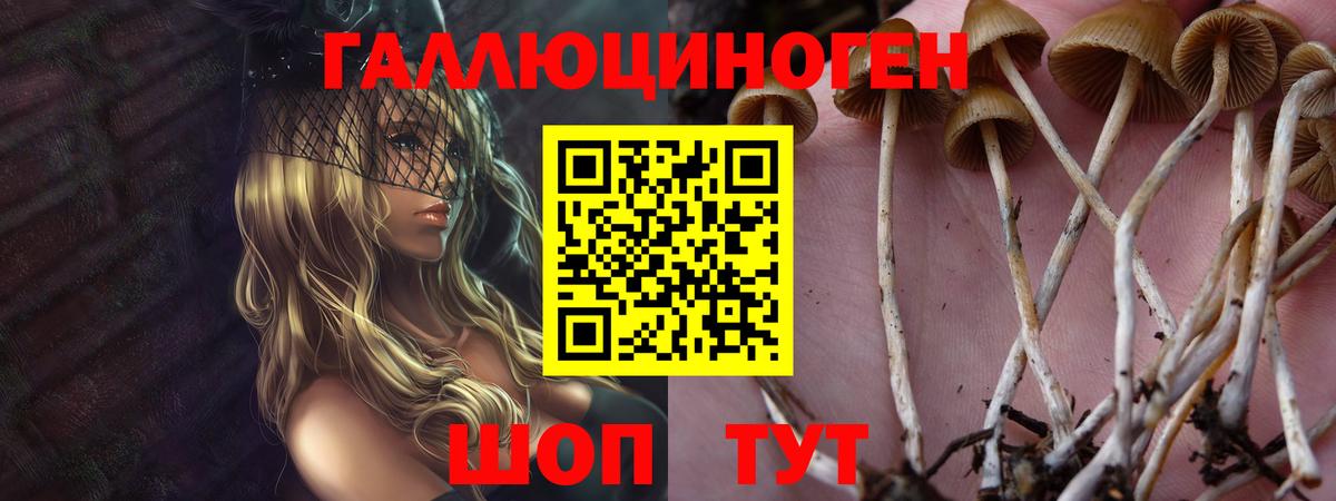 Нижнекамск  Галлюциногенные грибы GOLDEN TEACHER  Вход с VPN 
